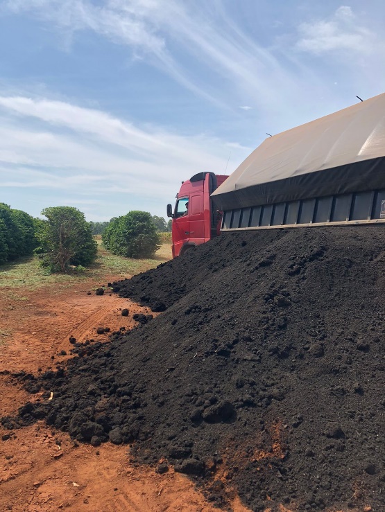 A importância da água e a urgência de se adotar práticas sustentáveis para sua preservação 